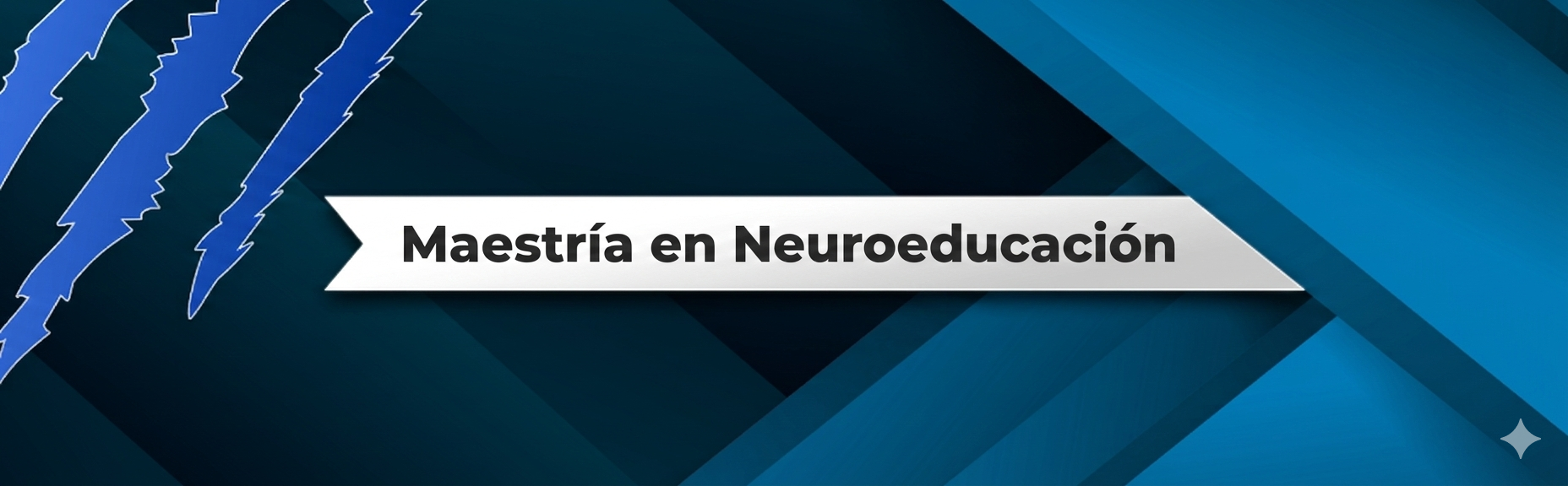 Maestría en Neuroeducación